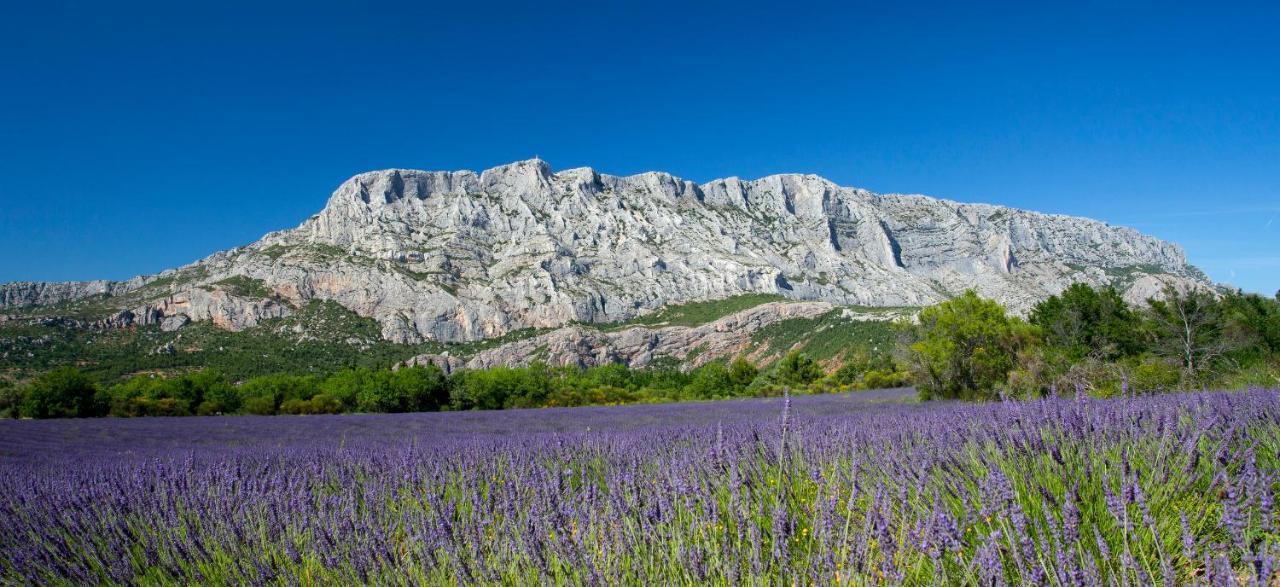 Mont Ventoux - Terrasse - Vue Degagee - Linge De Qualite - Fibre - Confort ガルダンヌ エクステリア 写真